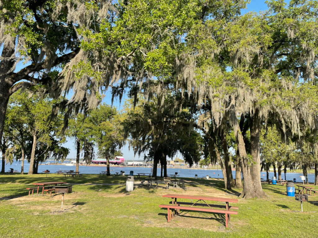Lake Conroe